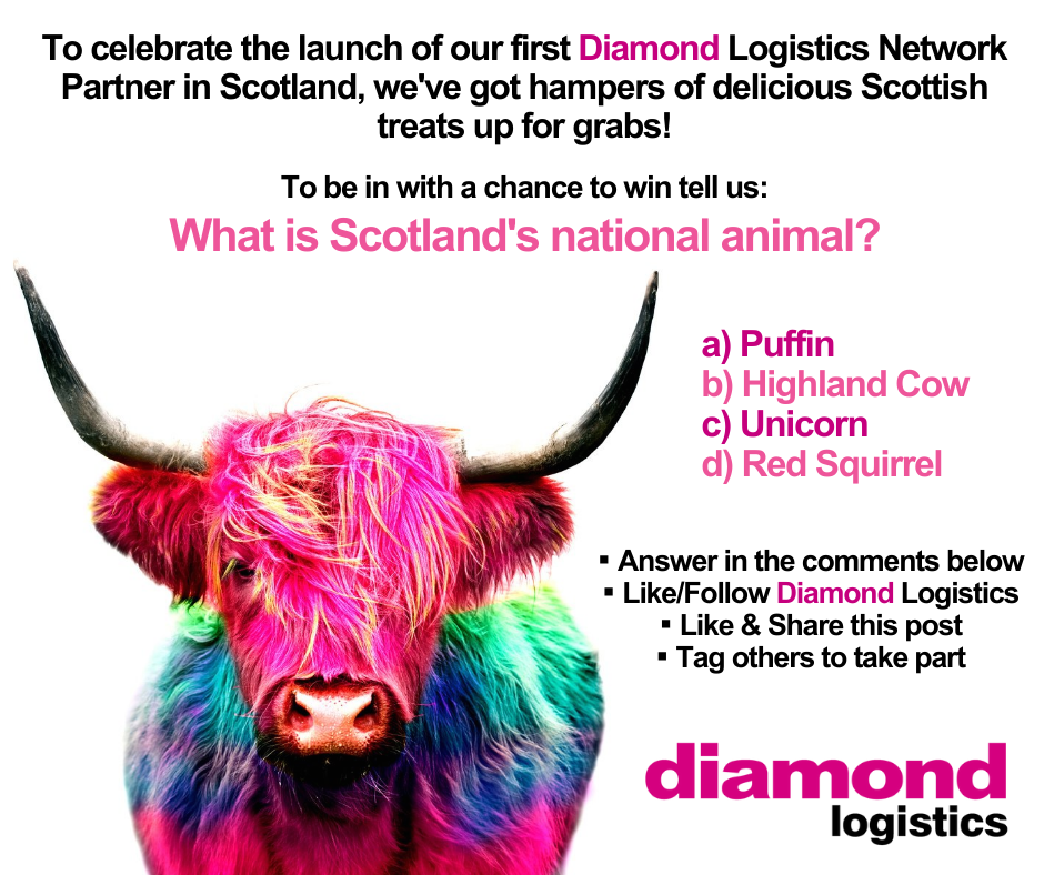 social giveaway post 